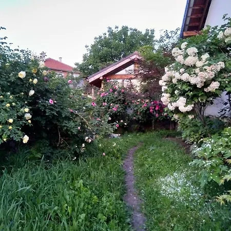 Villa харизма Hisarya