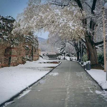 харизма Hisarea