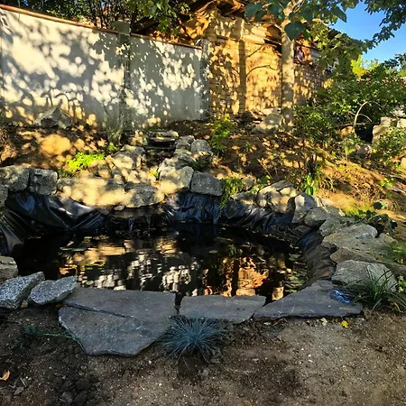 харизма * Hisarya