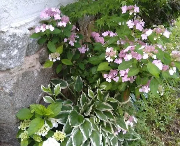 харизма Villa