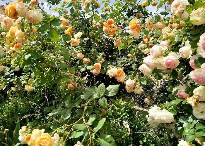 харизма Villa Hisarya