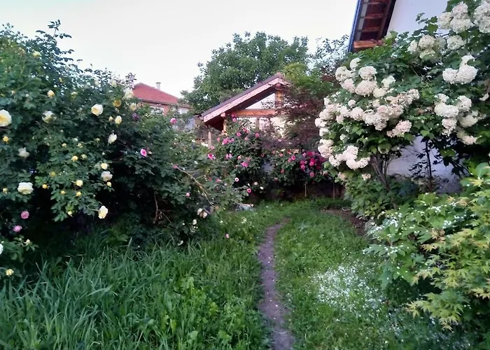 Villa харизма Hisarya