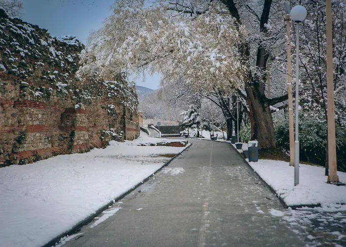 харизма Hisarya