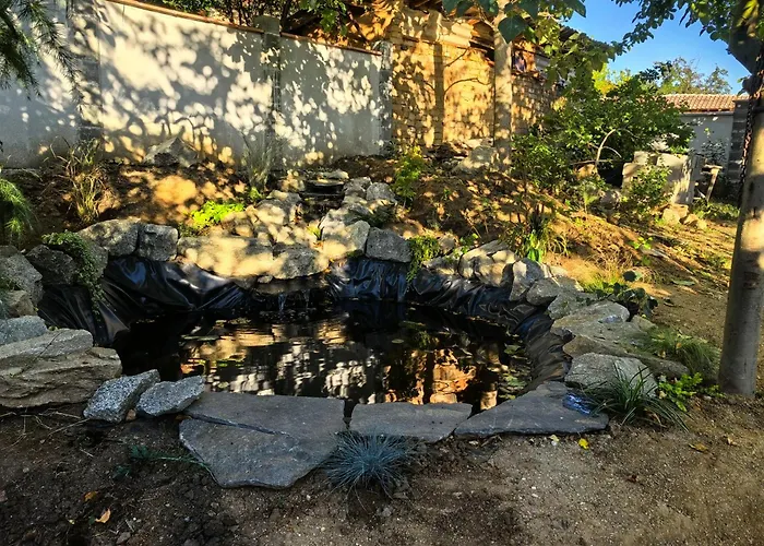 харизма * Hisarya